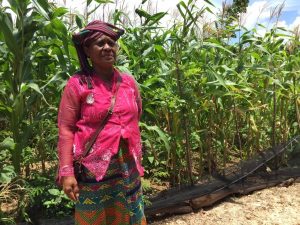 8bc96149769b92373a56dec36d9eb455