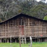 Pesona Rumah Kaki Seribu, Rumah Adat Suku Arfak
